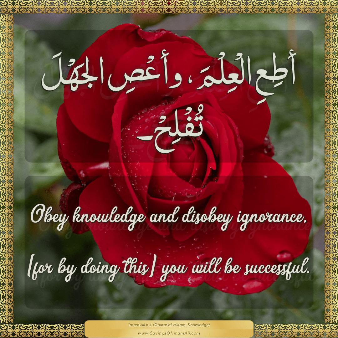 Obey knowledge and disobey ignorance, [for by doing this] you will be...